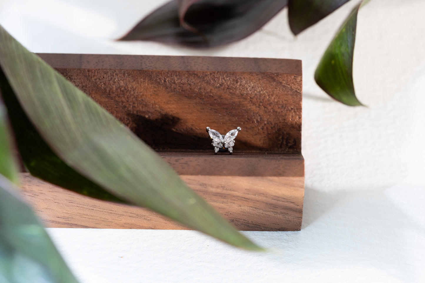 Bliss Butterfly CZ Stud - Silver